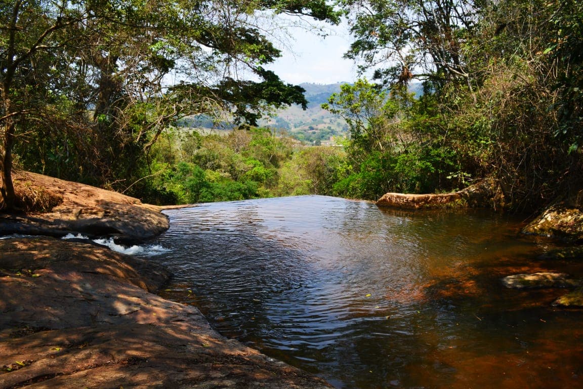 Roseira em Santa Rita do Sapucaí